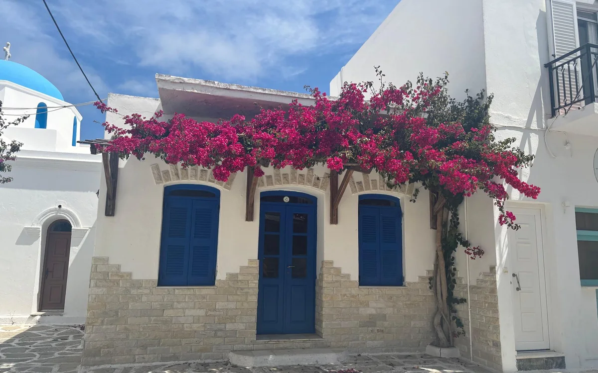 Bougainvillea over the blue door and windows of a white village house