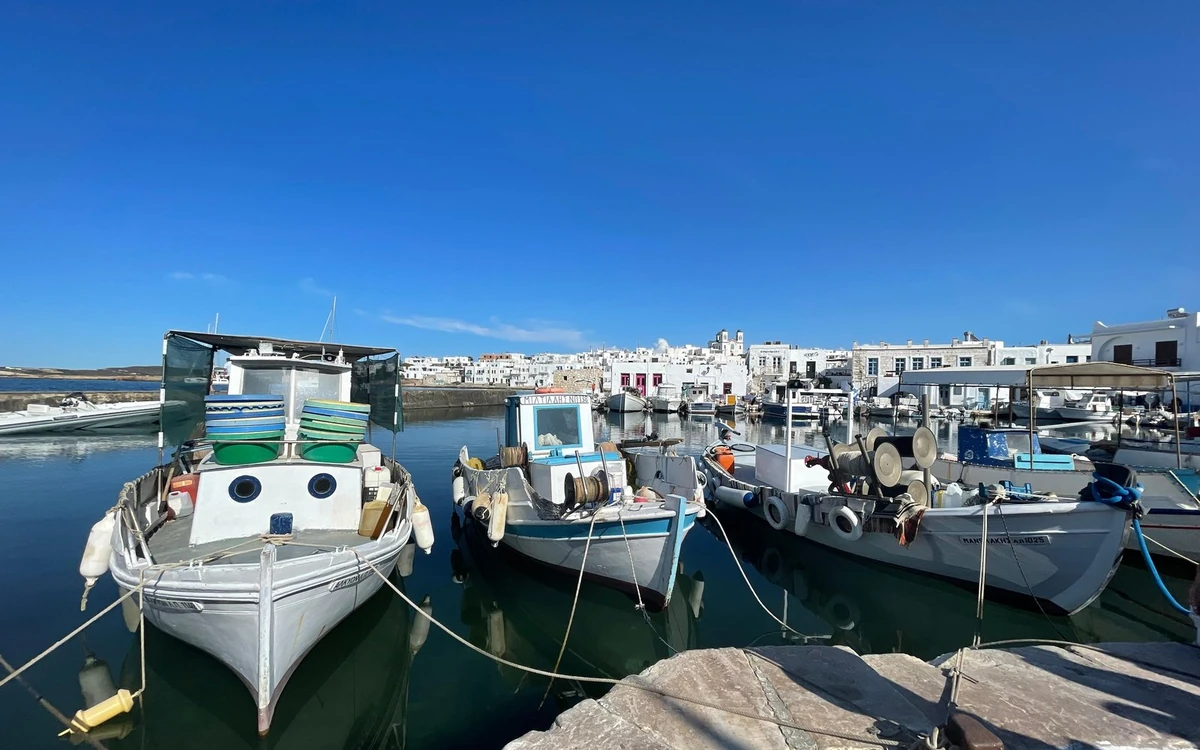 Small wooden fishing boats moored in the harbour at Naousa, with white houses behind