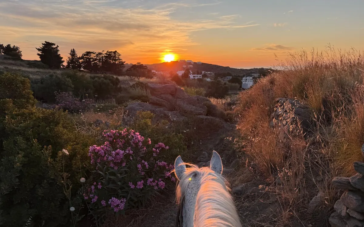 The view between a horse's ears towards the sun setting over the hills