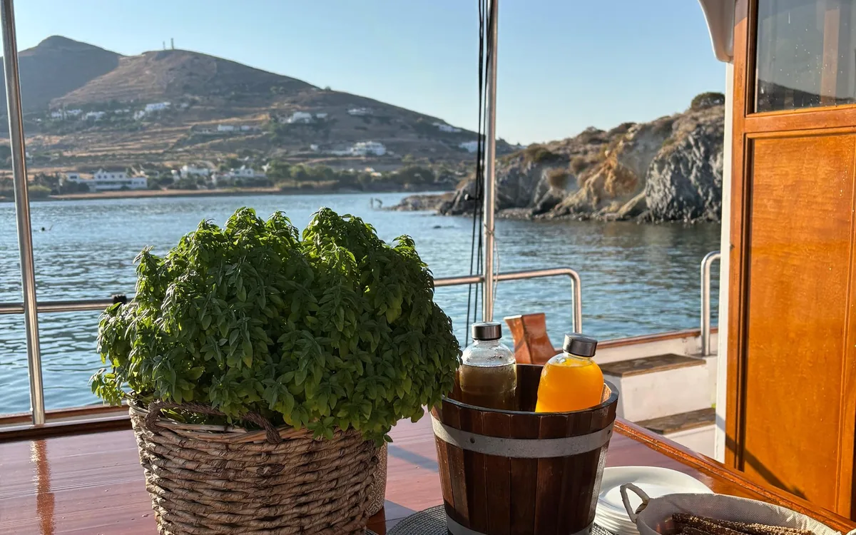 A pot of basil and bottles of juice on the deck of a wooden boat