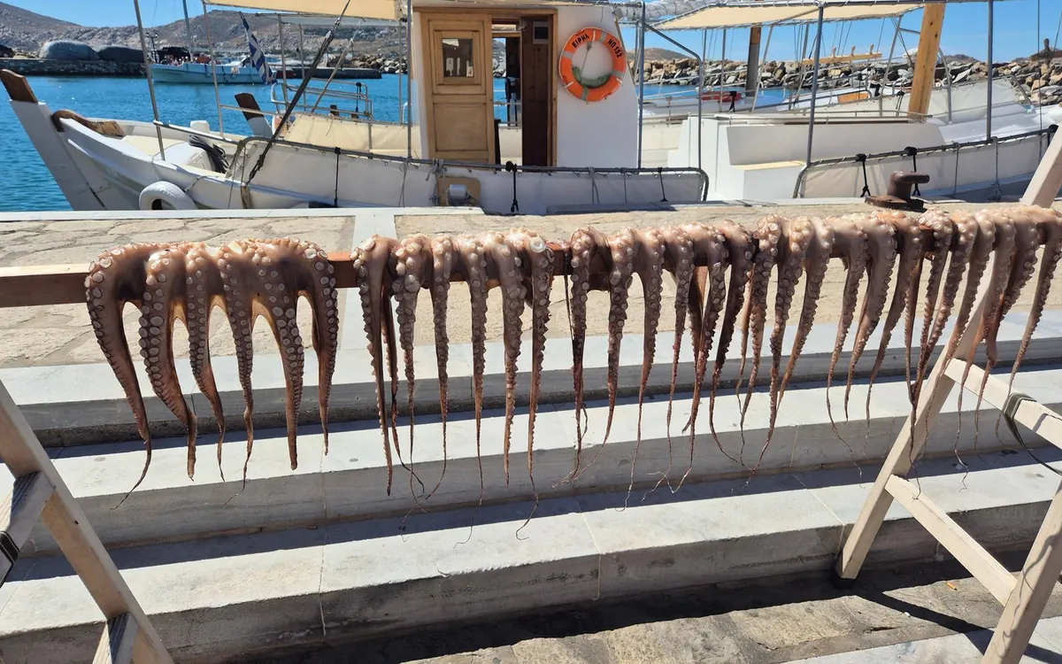 Octopus hung out to dry on a wooden rail by the harbour, fishing boats moored behind