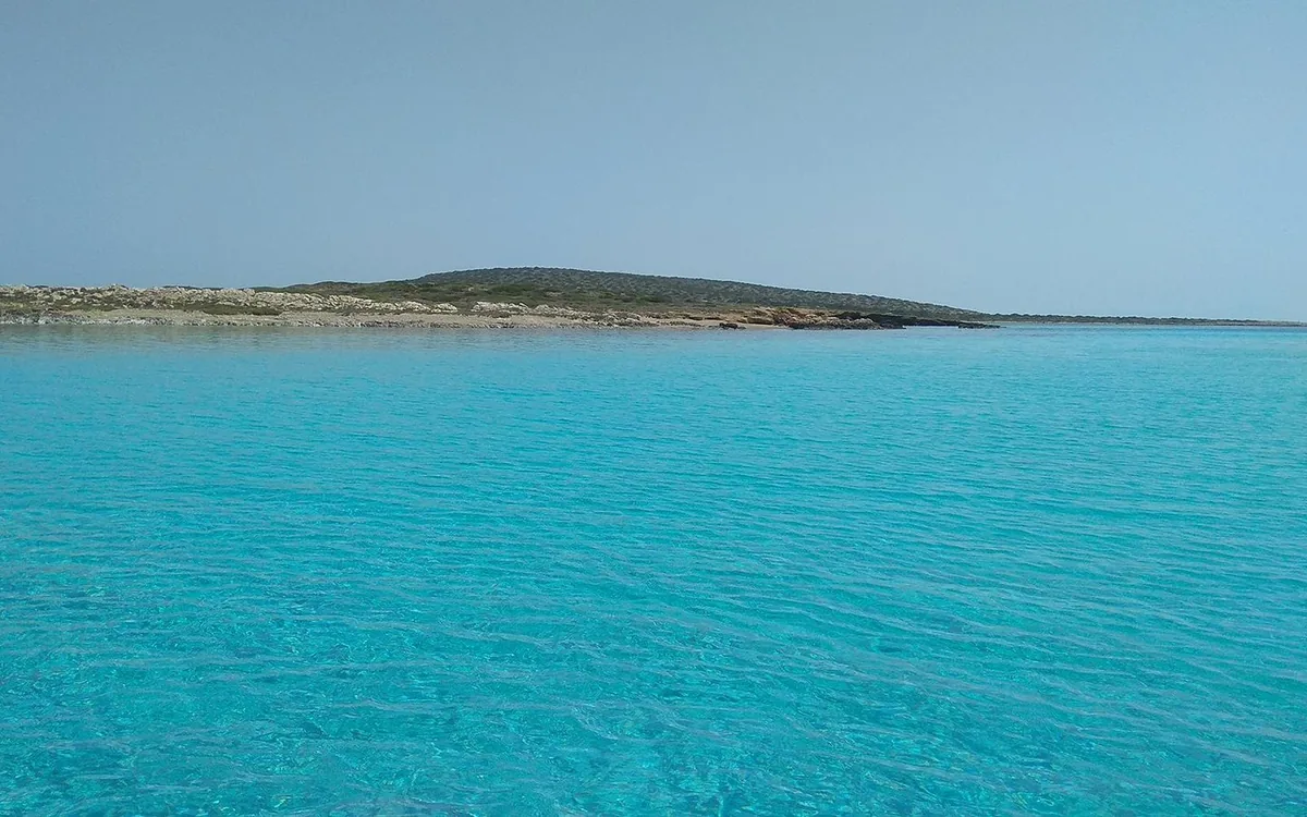 Clear turquoise shallows in front of a low green islet under a pale sky