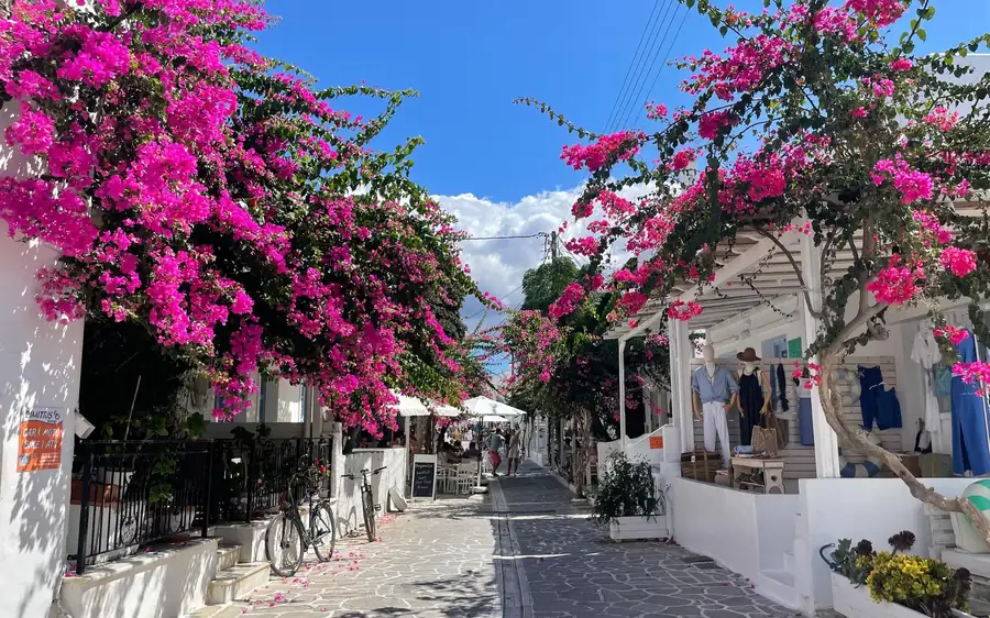 A narrow lane of white houses under pink bougainvillea