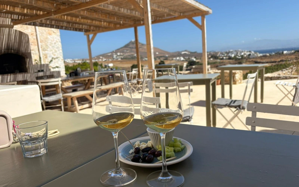 Two glasses of white wine on a shaded terrace table